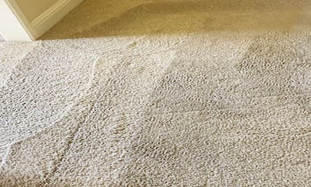 Carpet Cleaning